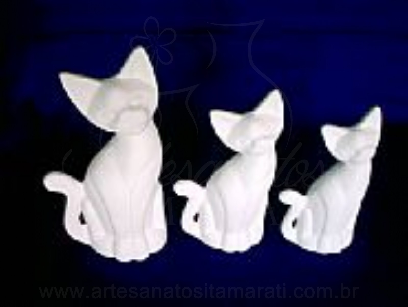 Trio de Gato Bale Md